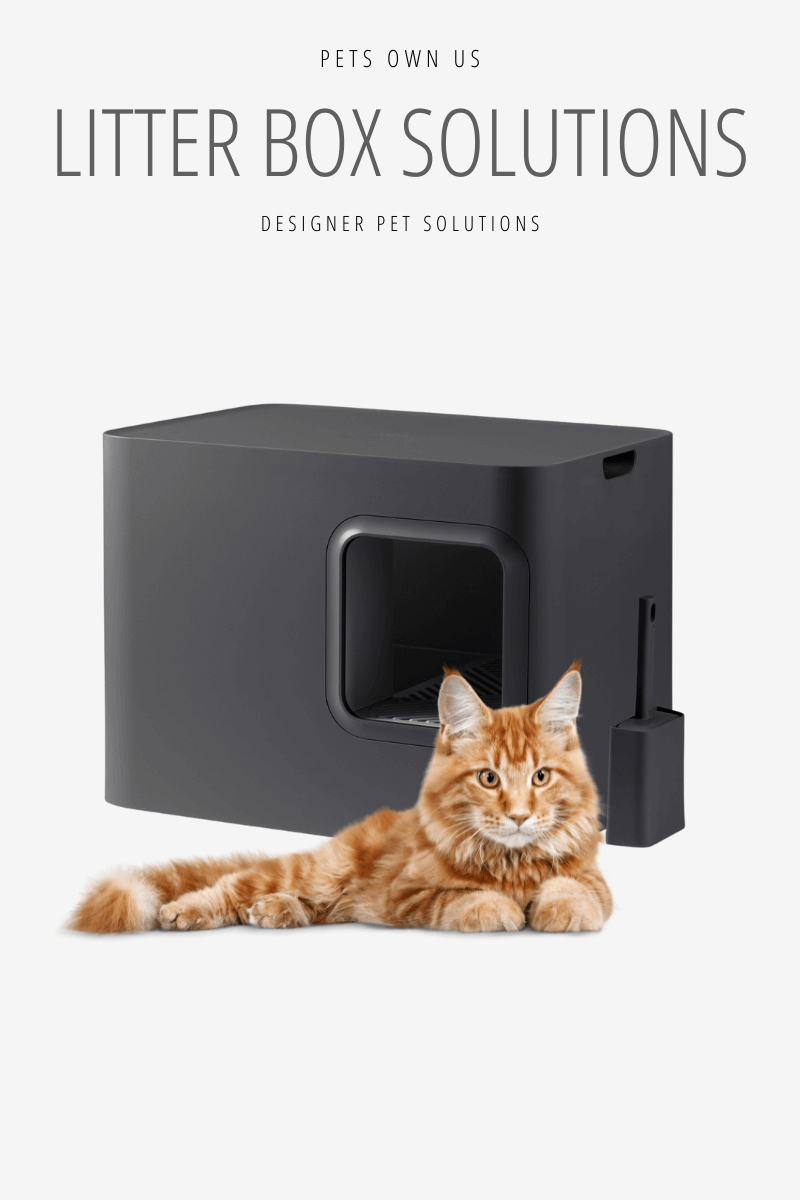 Cat Litter Solutions