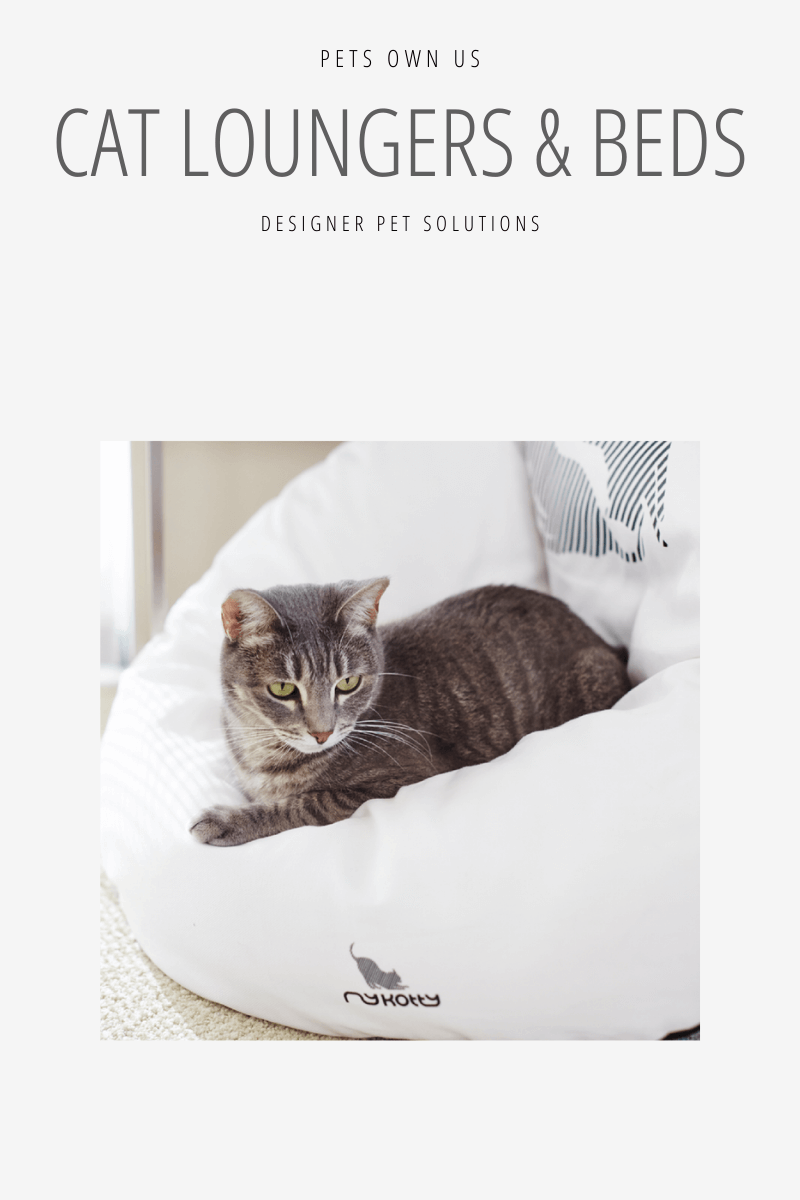 Cat Beds & Loungers
