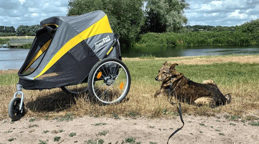 Strollers for Large Dog Breeds