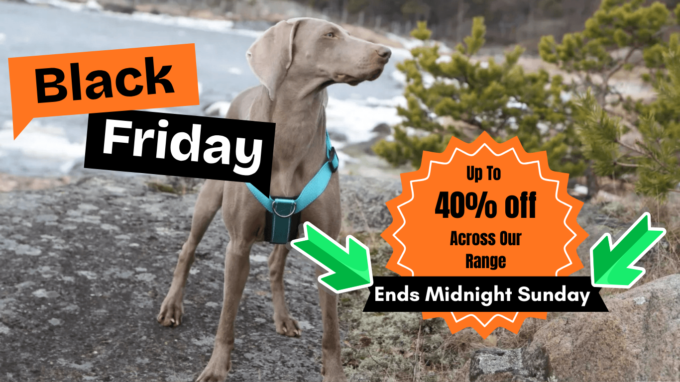 Black Friday 2025 Pets Own Us 10% storewide discount and up to 40% off pet products sale