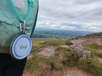 Henry Wag Travel Bowl