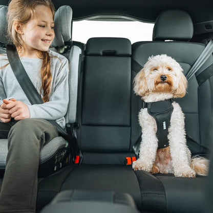 Thule Cappy Dog Car Harness black step-in crash-tested with seatbelt loops for car safety