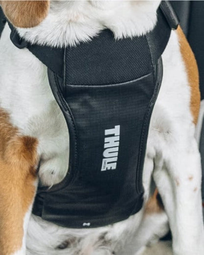 Thule Cappy Dog Car Harness in black with crash-tested seatbelt loops and breathable mesh panels