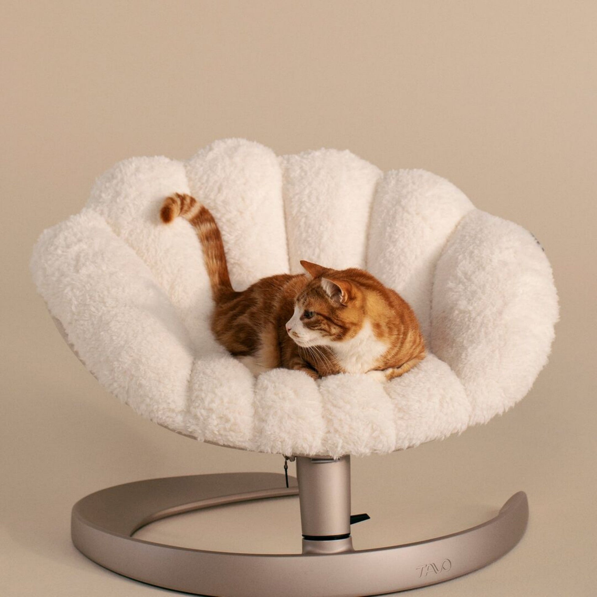 Large dog resting in fully reclined latte Tavo Shell pet bed with aluminium frame and fleece cover