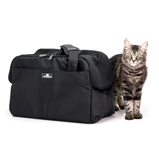 Black pet carrier with a cat standing next to it on a white background