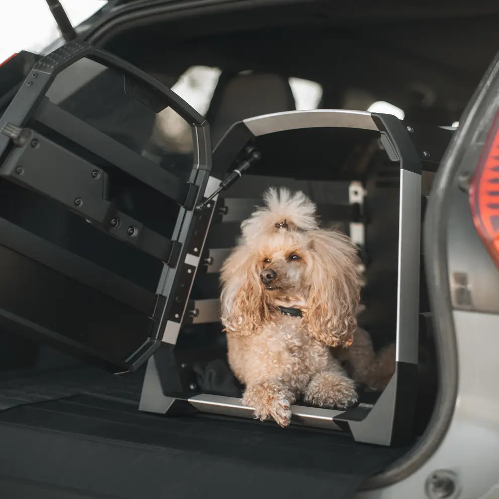 Thule Dog travel crate Thule Allax Car Dog Crate | Medium Thule Allax Car Dog Crate | Medium