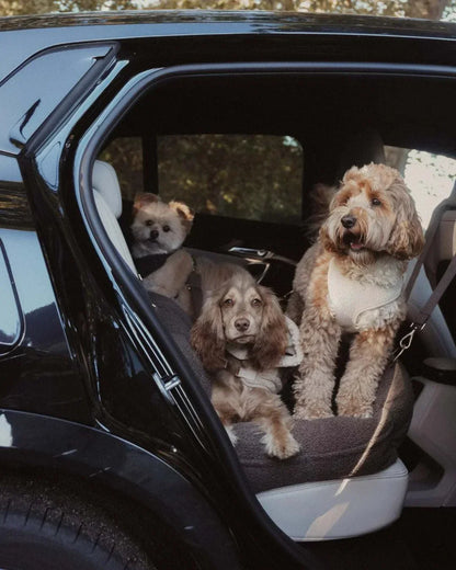 Chocolate XL cosy dog car seat with ultra-soft vegan sherpa fabric, fits up to three dogs, full-width back seat coverage with built-in D-rings and bolsters