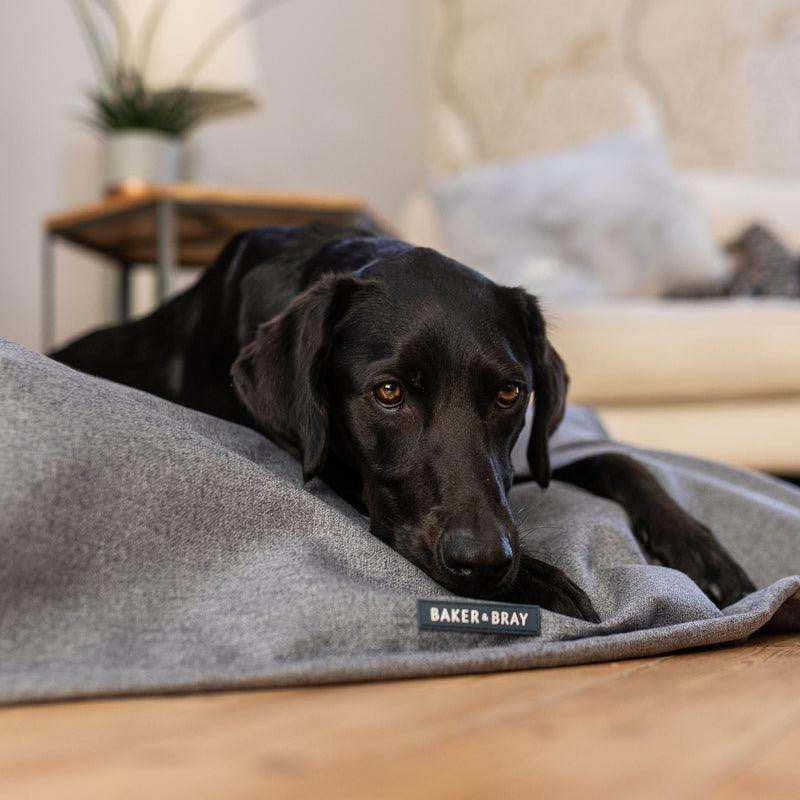 Baker & Bray temperature-regulating dog blanket with Outlast® technology for year-round comfort