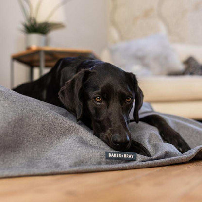 Baker & Bray temperature-regulating dog blanket with Outlast® technology for year-round comfort