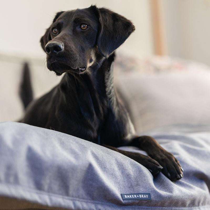Baker & Bray dog blanket with temperature regulating Thermoluxe technology for pet comfort and warmth