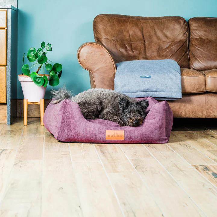 Baker & Bray Baker & Bray Luxury Orthopaedic Dog Bed - Designed by Vets | 9 Colours Baker & Bray Luxury Orthopaedic Dog Bed - Designed by Vets | 9 Colours