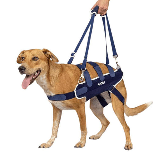 Balto Balto® Body Lift – Body Harness with Handles Balto® Body Lift – Body Harness with Handles | Pets Own Us