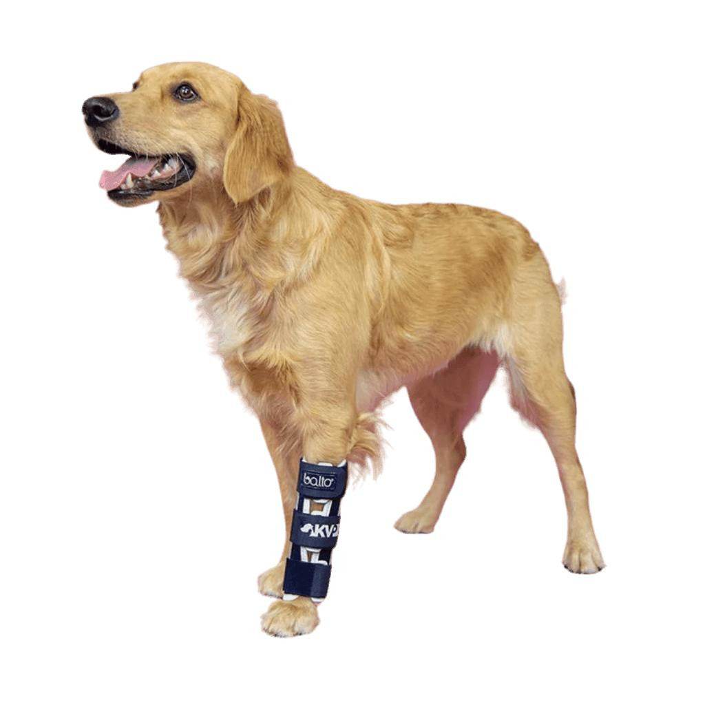 Balto Bone fracture brace for dog front leg support and stabilization