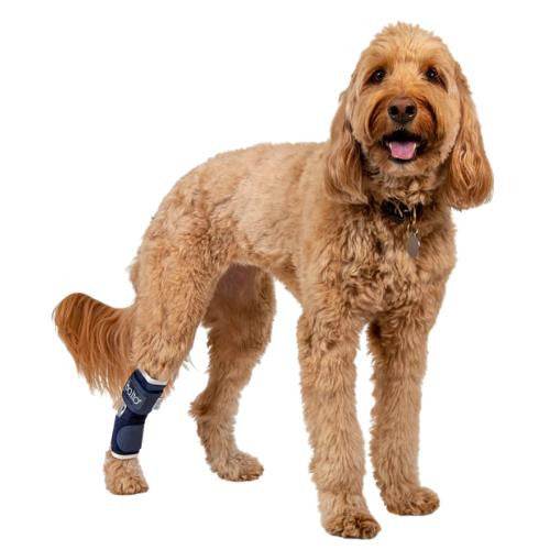 Balto® Hock Brace logo for dog joint support and pain relief