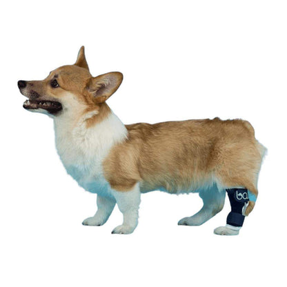 Balto® Hock Brace logo for dog joint support and injury recovery