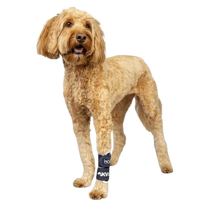 Balto® Joint carpal compression band for dog paw support and injury protection