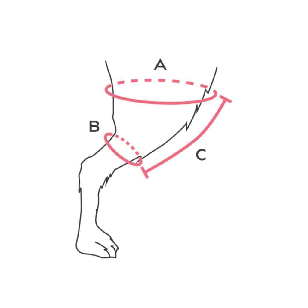 Balto Balto® Jump – Knee Brace [Left & Right] Balto® Jump – Knee Brace [Left & Right] | Pets Own Us