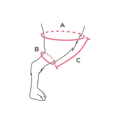 Balto Balto® Jump – Knee Brace [Left & Right] Balto® Jump – Knee Brace [Left & Right] | Pets Own Us