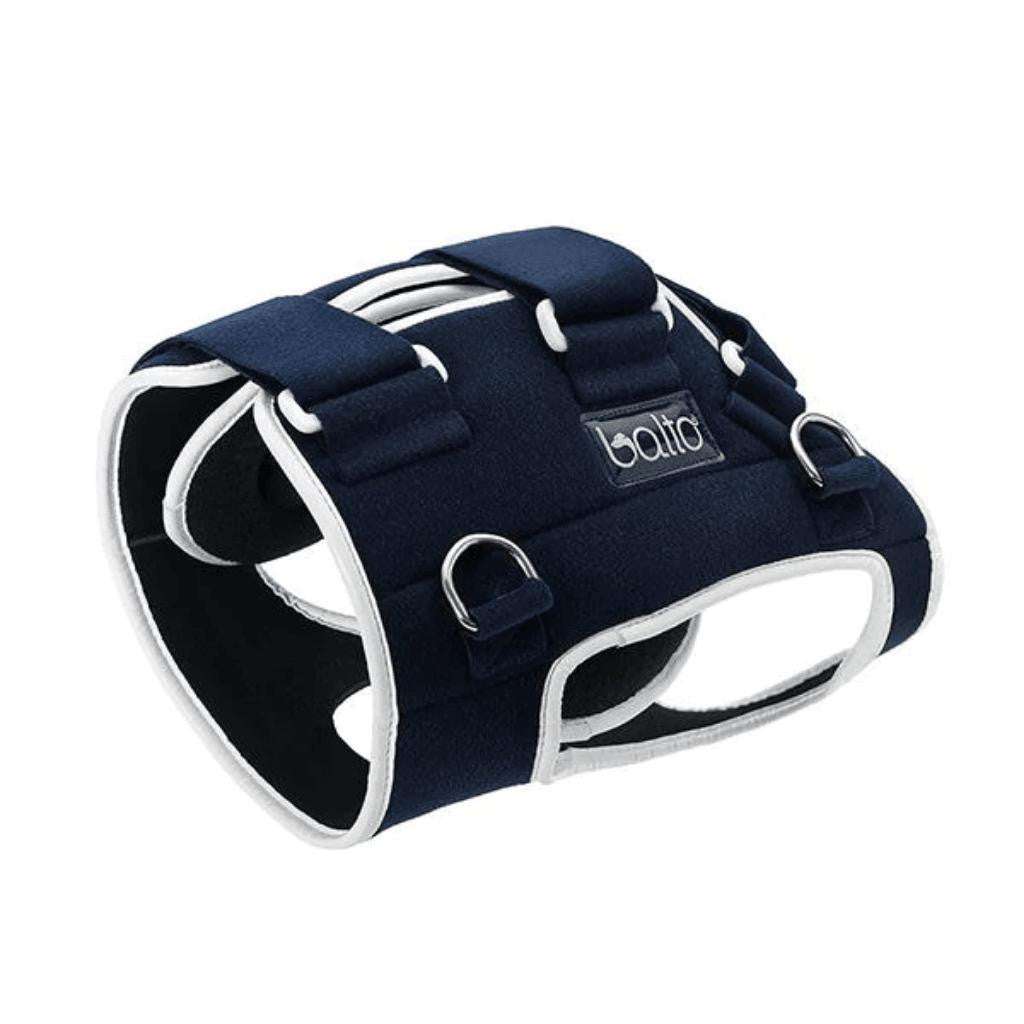 Dog wearing Balto Life Hip Dysplasia Brace for bilateral hip compression and pain relief