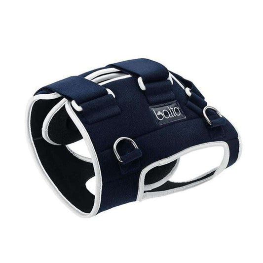 Dog wearing Balto Life Hip Dysplasia Brace for bilateral hip compression and pain relief