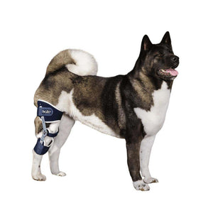 Balto® Ligatek adjustable hinged knee brace for dog knee stabilization and post-op care