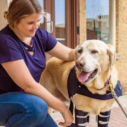Balto Balto® Lux – Shoulder Brace Balto® Lux Shoulder Brace for Shoulder Support & Recovery for your dog