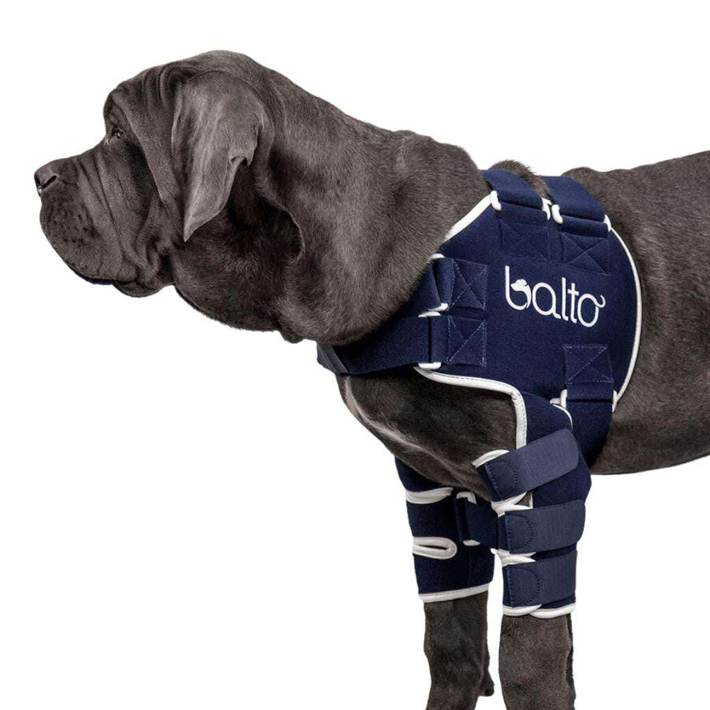 Balto® Lux Shoulder Brace with adjustable straps for joint support and rehabilitation