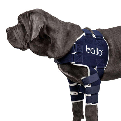 Balto® Lux Shoulder Brace with adjustable straps for joint support and rehabilitation