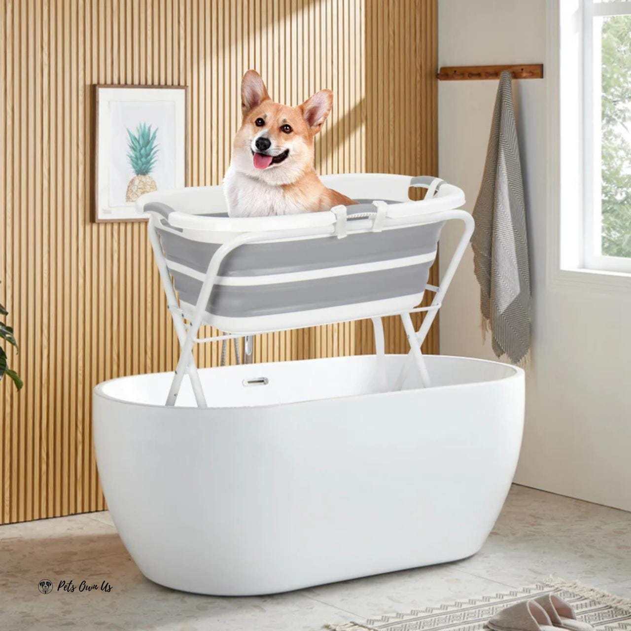 Beberoad Beberoad | B1 | 2-in-1 Pet Bathtub Beberoad 2-in-1 Mobile Pet Bath Portable Grooming for Pets