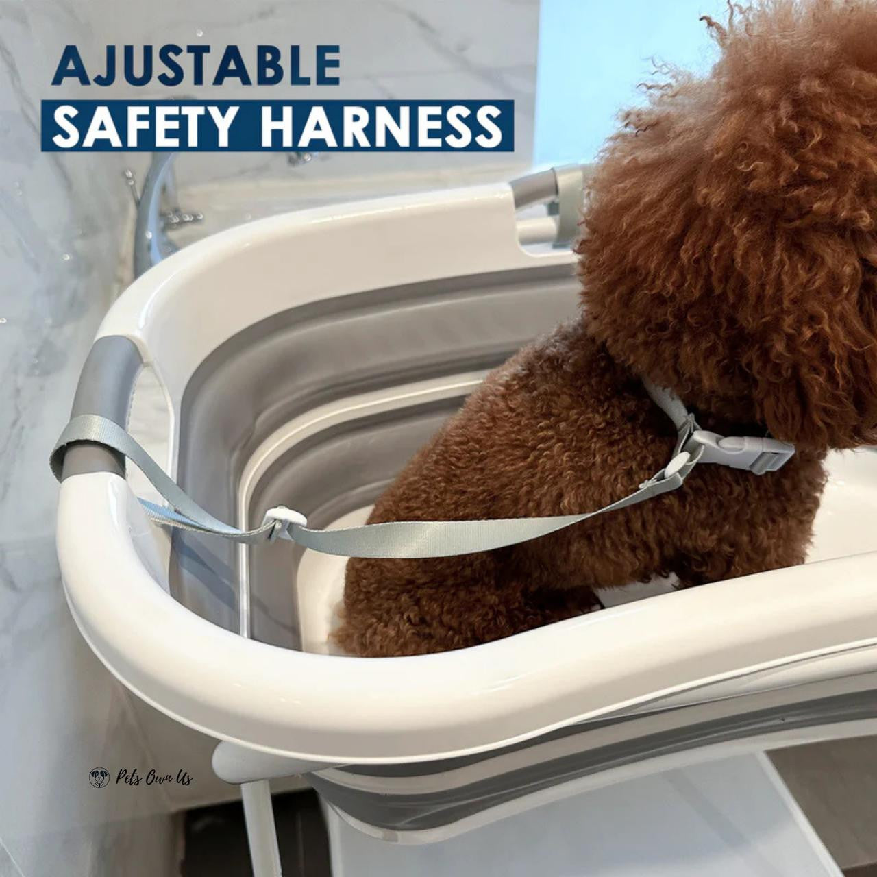 Beberoad Bederoad | B1 | 2-in-1 Pet Bath Tub  BBR-B1-Pet-Bath-Tub Pets Own Us