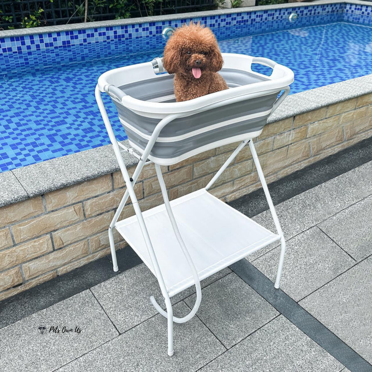Beberoad Bederoad | B1 | 2-in-1 Pet Bath Tub  BBR-B1-Pet-Bath-Tub Pets Own Us