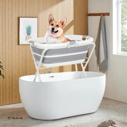 Beberoad Bederoad | B1 | 2-in-1 Pet Bath Tub  BBR-B1-Pet-Bath-Tub Pets Own Us