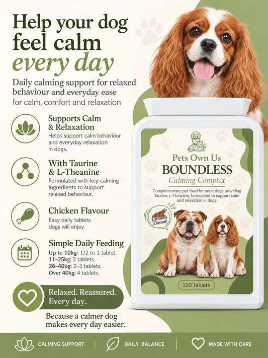 Boundless by Pets Own Us Pet Supplements Boundless Calming Tablets | Calm & Comfort for Dogs Boundless Calming Tablets for Dogs | Calm Travel & Fireworks