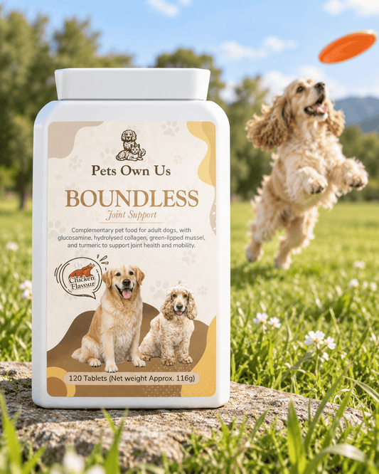 Boundless by Pets Own Us Pet Supplements Boundless Joint Support | Hip & Joint Tablets for Dogs Boundless Joint Support | Dog Joint Supplement | 120 Tablets