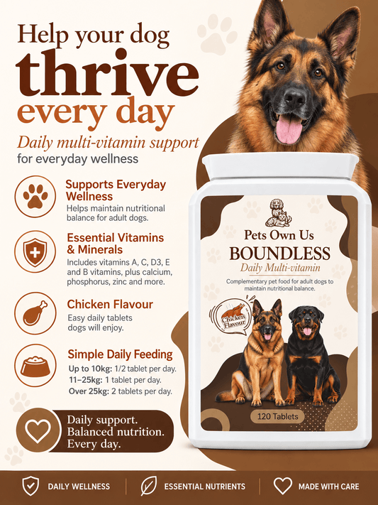 Boundless by Pets Own Us Pet Supplements Boundless Multivitamin | Everyday Health Tablets for Dogs Boundless Multivitamin for Dogs | Daily Dog Vitamins