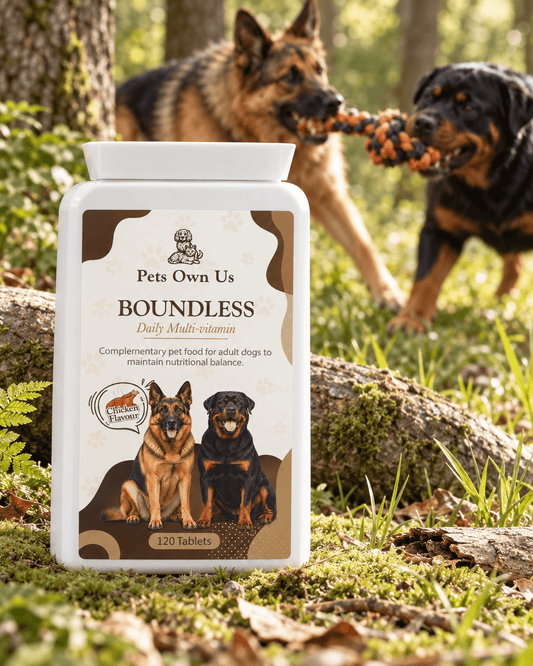 Boundless by Pets Own Us Pet Supplements Boundless Multivitamin | Everyday Health Tablets for Dogs Boundless Multivitamin for Dogs | Daily Dog Vitamins