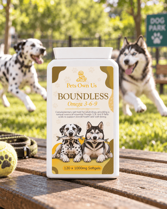 Boundless by Pets Own Us Pet Supplements Boundless Omega 3-6-9 | Skin & Coat Support for Dogs Boundless Omega 3-6-9 for Dogs | Skin & Coat Supplement
