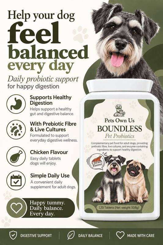 Boundless by Pets Own Us Pet Supplements Boundless Probiotic | Gut & Digestion Support for Dogs Boundless Probiotic for Dogs | Gut & Digestion Supplement