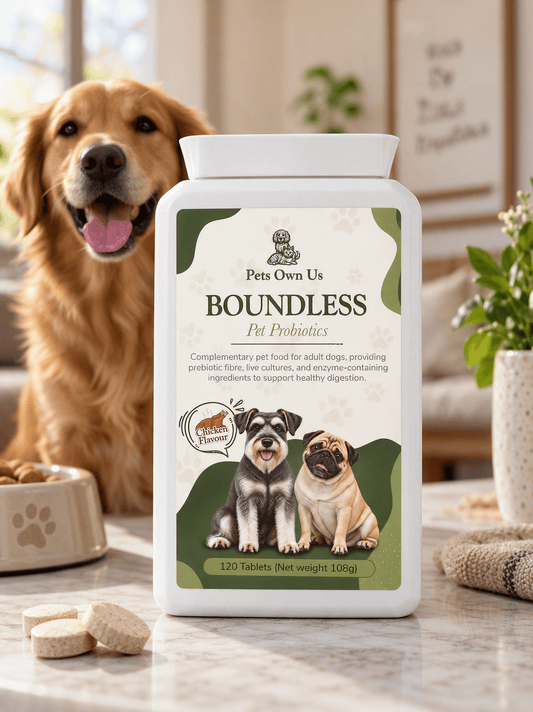 Boundless by Pets Own Us Pet Supplements Boundless Probiotic | Gut & Digestion Support for Dogs Boundless Probiotic for Dogs | Gut & Digestion Supplement