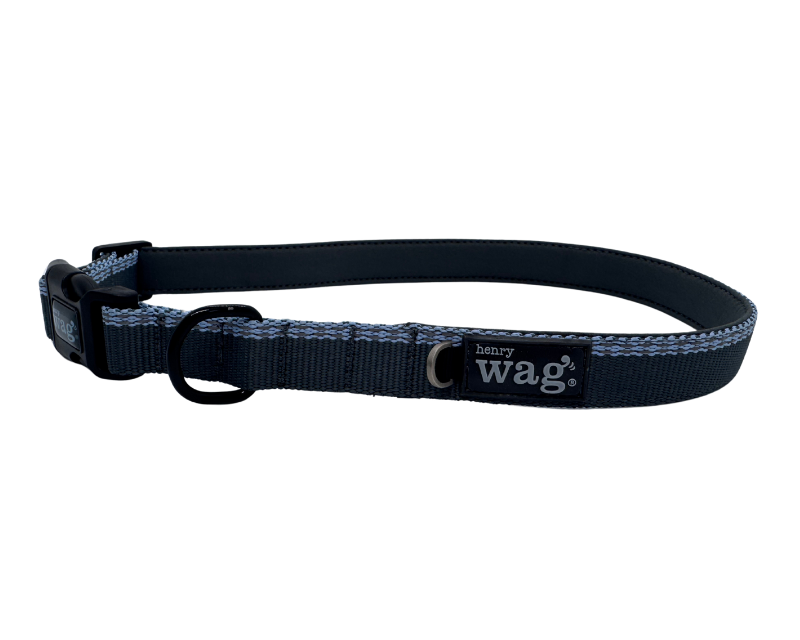 Blue and grey Henry Wag Comfort dog collar with neoprene padding and reflective stitching