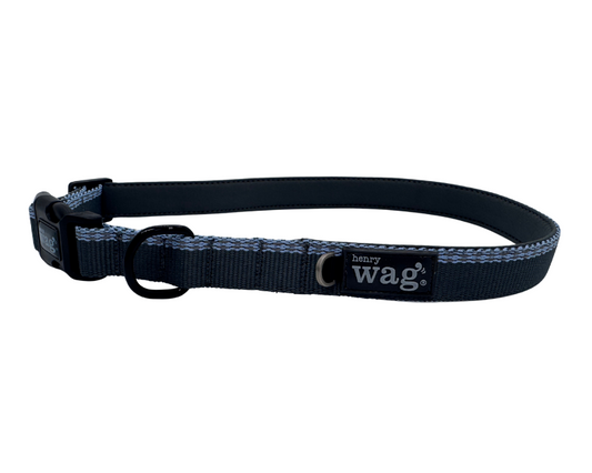 Blue and grey Henry Wag Comfort dog collar with neoprene padding and reflective stitching