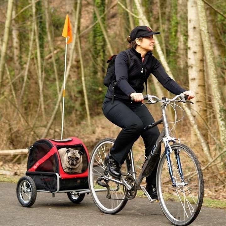 Dutch Dog DoggyRide Mini Dog Bike Trailer | Red | Axle Coupling | Dutch Dog Design®  DRMNTR22-RD Pets Own Us
