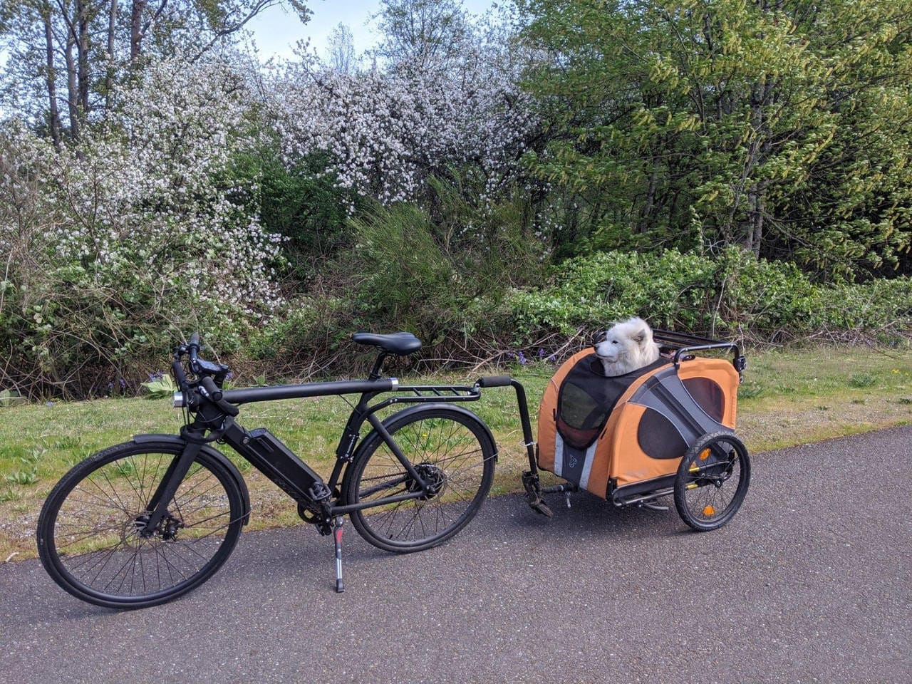 Dutch Dog DoggyRide Novel 15 Dog Bike Trailer by Dutch Dog | Orange DoggyRide Dog Bike Trailer Novel 15 by Dutch Dog - E Bike Compatible!