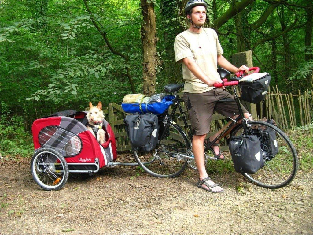 Dutch Dog Original DoggyRide Dog Bike Trailer by Dutch Dog - Red (incl. leash set)  DRORTR09-RD Pets Own Us