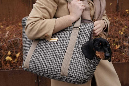 Muffin & Berry Soft Carrier for Pets - Jacqueline