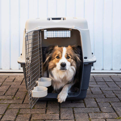 Henry Wag Air Kennel IATA compliant durable dog travel crate for car sea and air transport