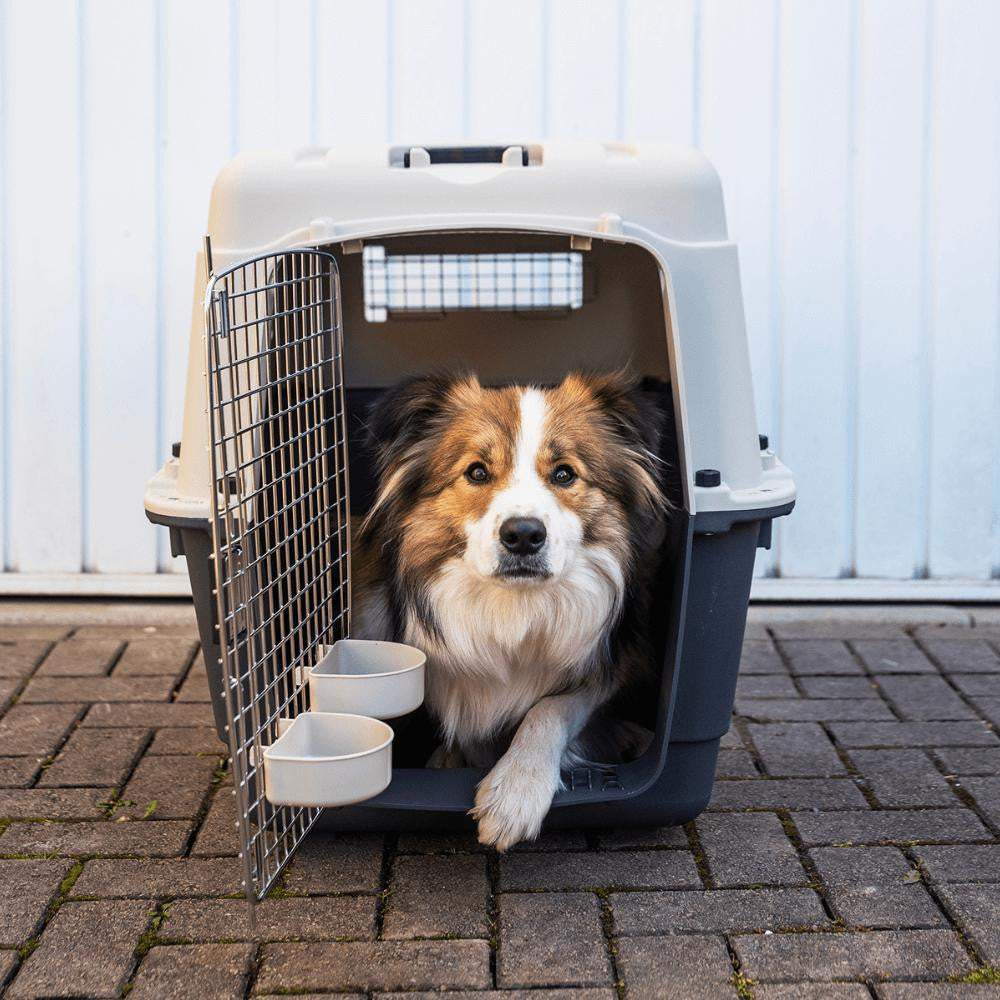 Henry Wag Henry Wag Air Kennel for Car Sea & Air | IATA Compliant Henry Wag Air Kennel for Car Sea & Air | IATA Compliant | Pets Own Us
