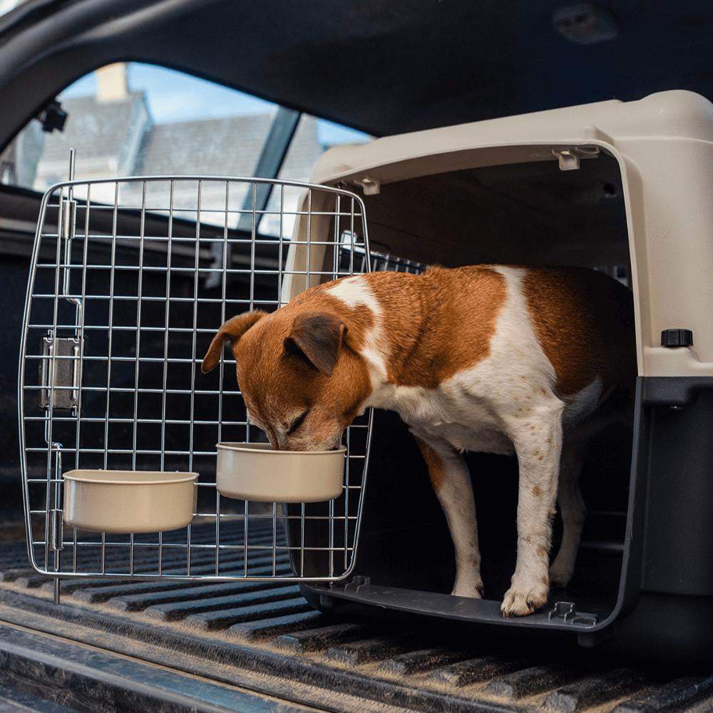 Henry Wag Air Kennel IATA compliant pet travel crate for car, sea, and air transport