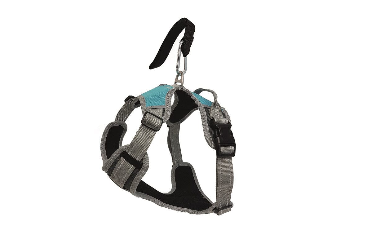 Henry Wag Dog Harness Henry Wag Dog Travel Harness | Car Safety Restraint | Mesh Padded | Blue, 4 Sizes Dog Travel Harness - Safe Car Restraint & Comfortable Walks in Blue