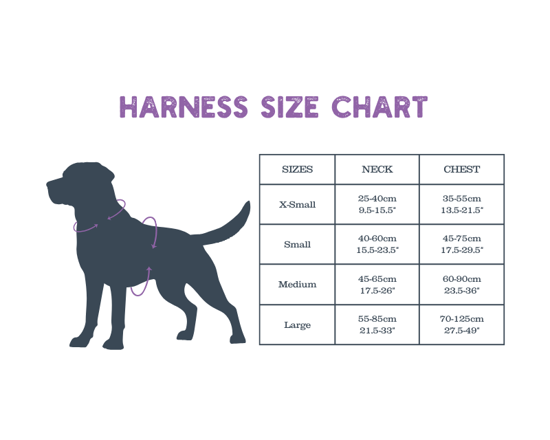 Henry Wag Dog Harness Henry Wag Dog Travel Harness | Car Safety Restraint | Mesh Padded | Blue, 4 Sizes Dog Travel Harness - Safe Car Restraint & Comfortable Walks in Blue